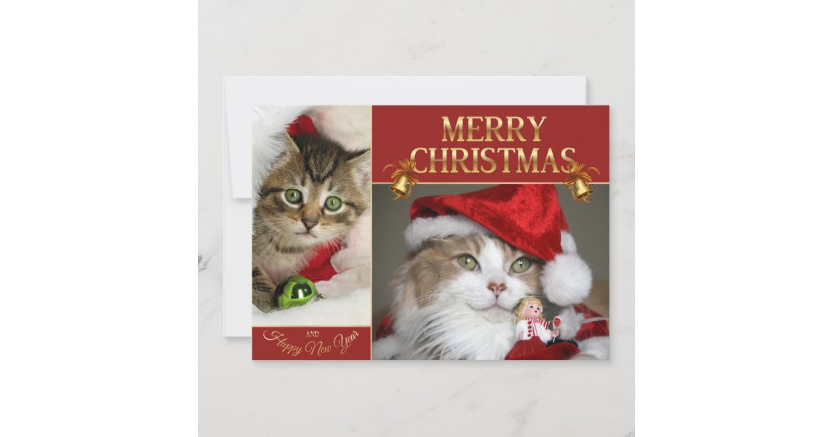 Christmas Cat Kitten Cat Cute Cats Holiday Card Zazzle Com