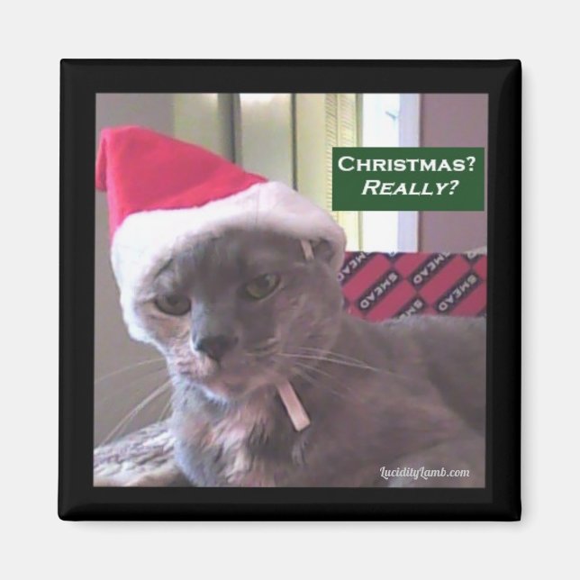 Christmas Cat Magnet (Front)