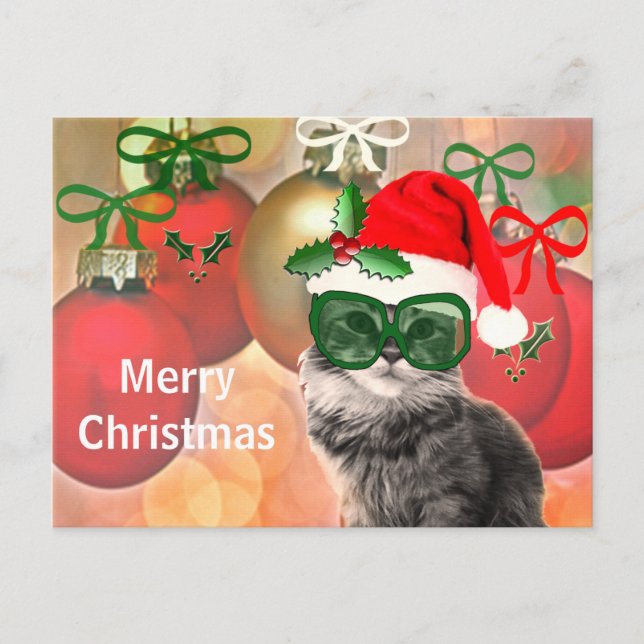 Christmas Cat on a christmas ball background Holiday Postcard (Front)
