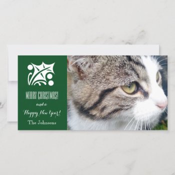 Christmas Cat Photo Card | Add Your Pet Image Here by photoedit at Zazzle