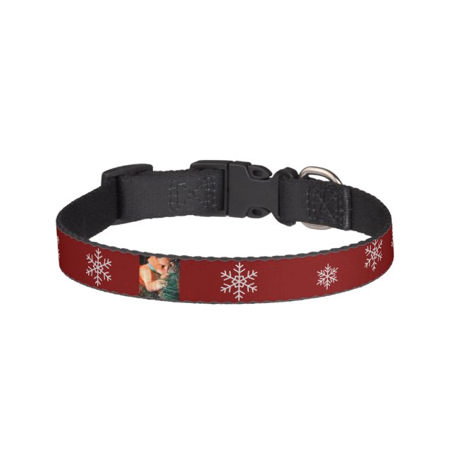 Christmas Cat  Photo customize Pet Collar (Front)