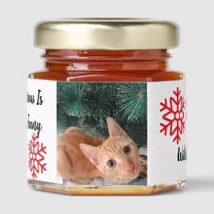 Christmas Cat Photo Funny Honey Jar Favors