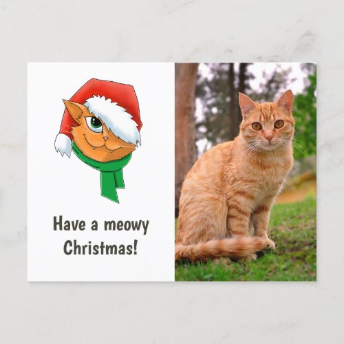 Christmas Cat Photo Holiday Postcard