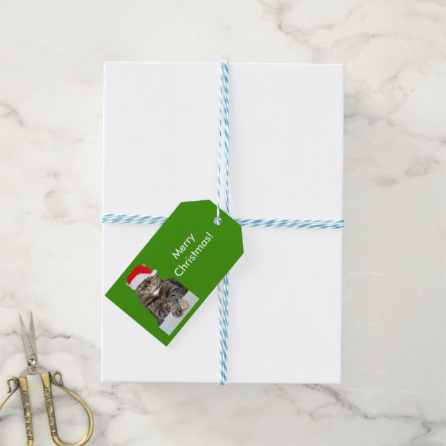 Christmas Cat Photo in Santa Hat Gift Tag (With Twine)