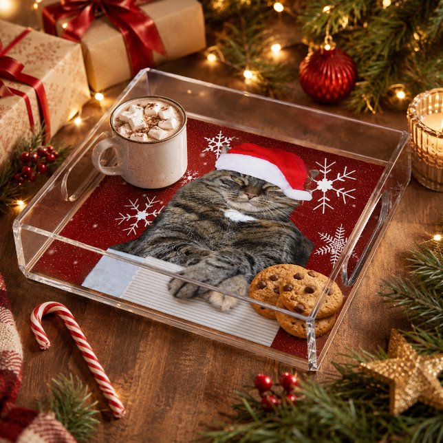 Christmas Cat Photo in Santa Hat Snowflake in Red Acrylic Tray (Christmas Cat Photo in Santa Hat Snowflake in Red Acrylic Tray)