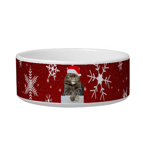 Christmas Cat Photo in Santa Hat Snowflake in Red Bowl