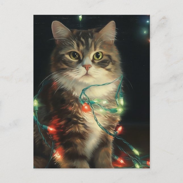 Christmas Cat Postcard (Front)