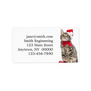 60ct #354-WH Christmas Santa Hat Cat Return Address Stickers/Labels 