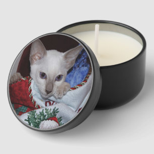 Christmas Cat - Siamese Lilac Point in Stocking Mini Candle Favors
