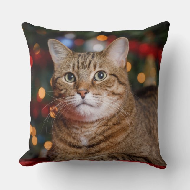 Christmas Cat Throw Pillow (Front)
