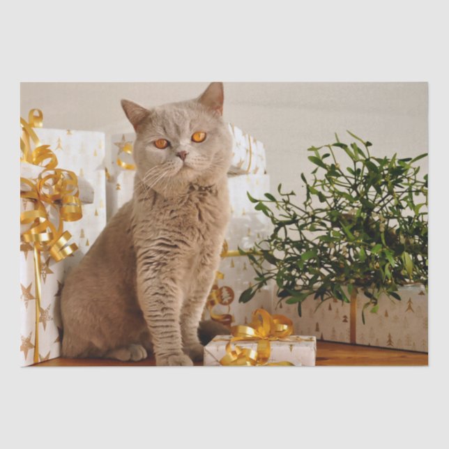 christmas cat tissue paper (Front)