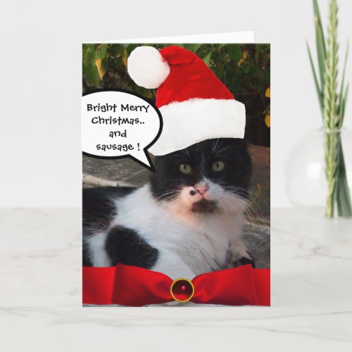 CHRISTMAS CAT WITH SANTA CLAUS HAT AND RED RIBBON HOLIDAY CARD