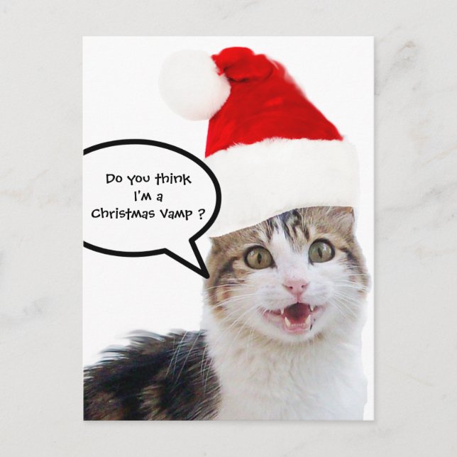CHRISTMAS CAT WITH SANTA CLAUS HAT HOLIDAY POSTCARD (Front)