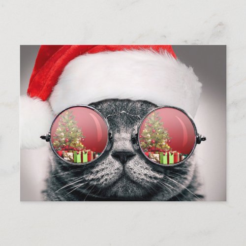Christmas Cat With Sunglasses Postcard