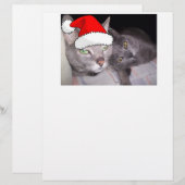 Christmas Cats (Front/Back)