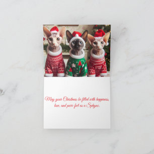 Christmas Cats Card Funny Sphynx Cats