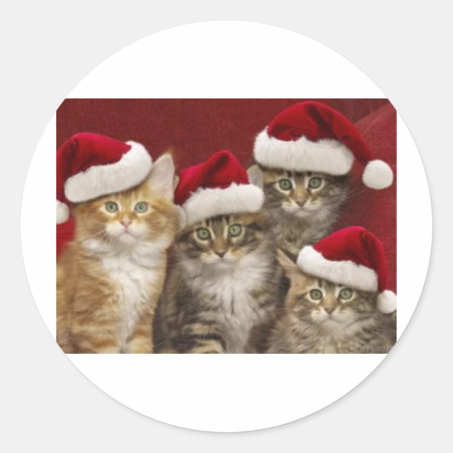 Christmas cats classic round sticker (Front)
