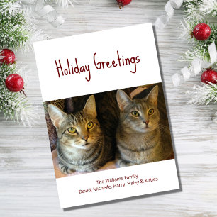 Christmas Cats Cute Festive Red Typography Holiday Card