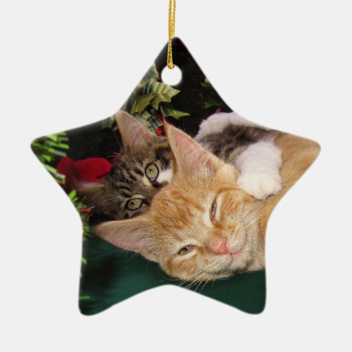 Christmas Cats, Cute Kittens Hugging, Kitty Smile Christmas Tree Ornament