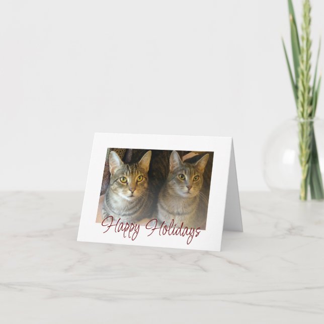 Christmas Cats Cute Pets Red Script Typography Holiday Card (Front)