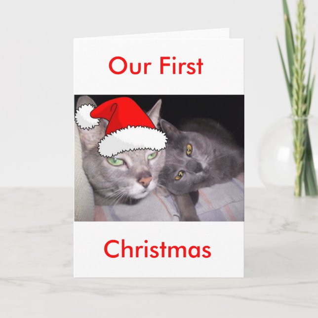 Christmas Cats Holiday Card (Front)