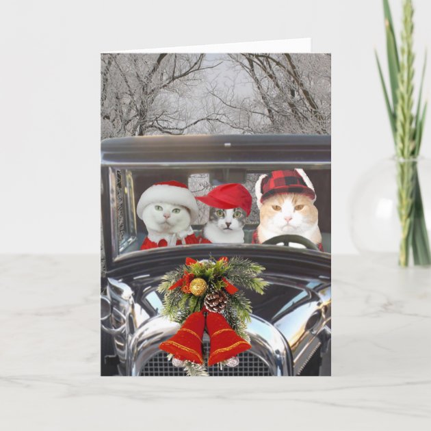 Christmas Cats In Car Holiday Invitation