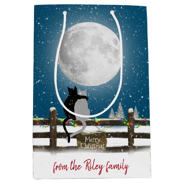 Christmas Cats On Fence with Moon Medium Gift Bag (Front)
