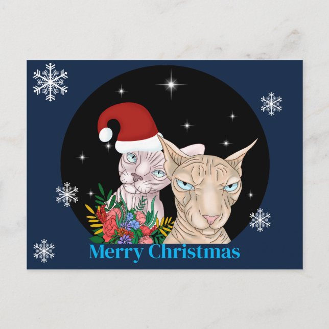 Christmas Cats under the starry sky Postcard (Front)