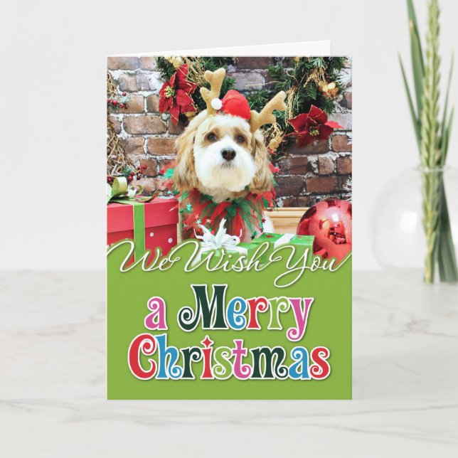 Christmas - Cavachon - Max Holiday Card (Front)
