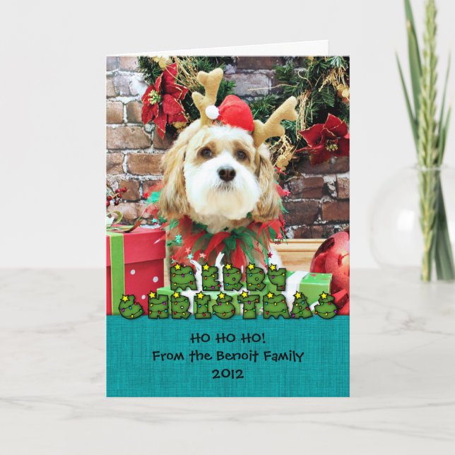 Christmas - Cavachon - Max Holiday Card (Front)