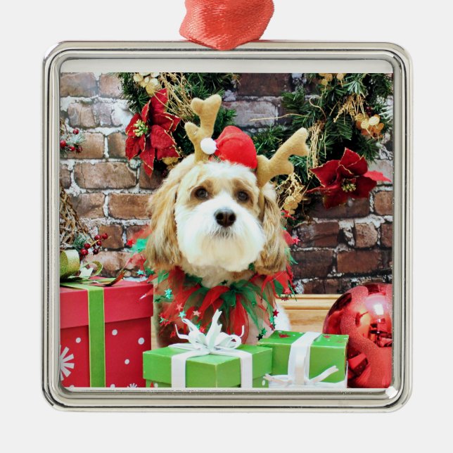 Christmas - Cavachon - Max Metal Ornament (Front)