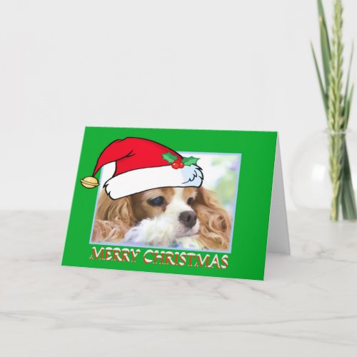 Christmas Cavalier King Charles Spaniel Card