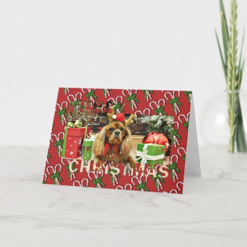 Christmas _ Cavalier King Charles Spaniel _ Meyers Holiday Card