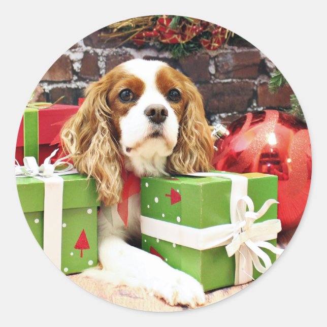 Christmas - Cavalier King Charles Spaniel - Poppy Classic Round Sticker (Front)