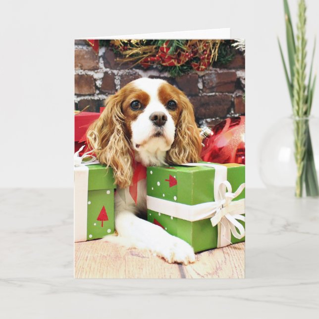 Christmas - Cavalier King Charles Spaniel - Poppy Holiday Card (Front)
