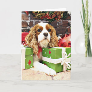 Christmas - Cavalier King Charles Spaniel - Poppy Holiday Card