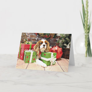 Christmas - Cavalier King Charles Spaniel - Poppy Holiday Card