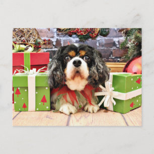 Christmas - Cavalier King Charles Spaniel - Rose Holiday Postcard