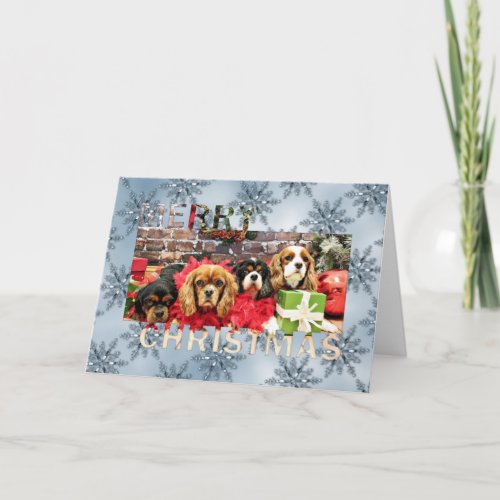 Christmas _ Cavalier _ Sweet Pea Lily Rose Poppy Holiday Card