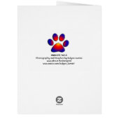 CHRISTMAS CELEBRATIONS OF PRINCESS TATUS CAT (Back)