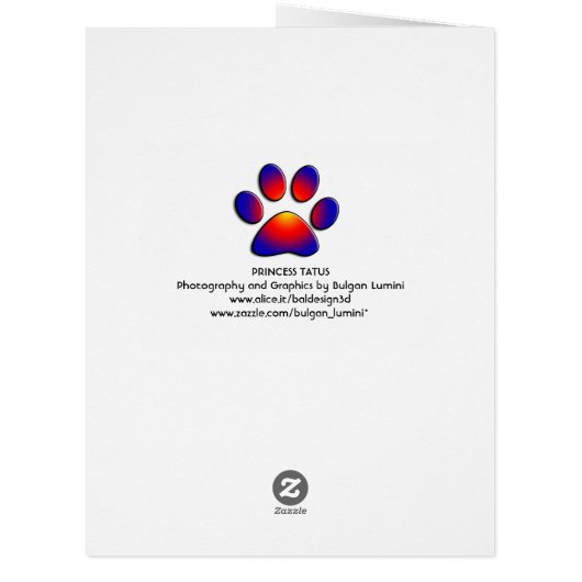 CHRISTMAS CELEBRATIONS OF PRINCESS TATUS CAT (Back)