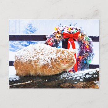 "christmas Cheeto"  Postcard by TabbyHallDesigns at Zazzle