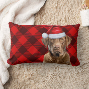 Christmas Chesapeake Bay Dog Festive Plaid Lumbar Pillow