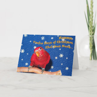 Christmas Chew Toys Holiday Card