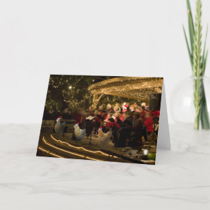 Christmas Chickens 2 Holiday Card