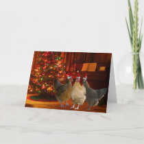 Christmas Chickens Holiday Card