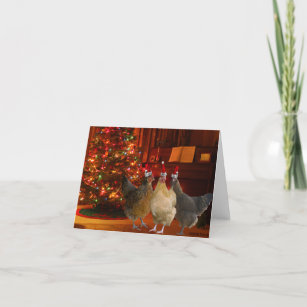 Christmas Chickens Holiday Card
