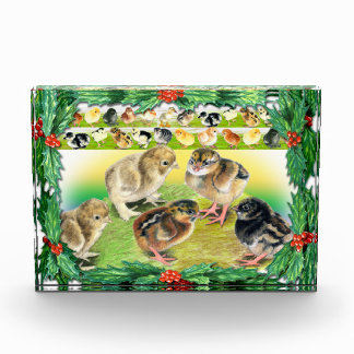 Christmas Chicks Acrylic Award