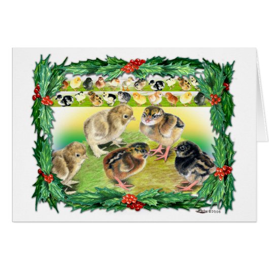 Christmas Chicks Cards (Front Horizontal)