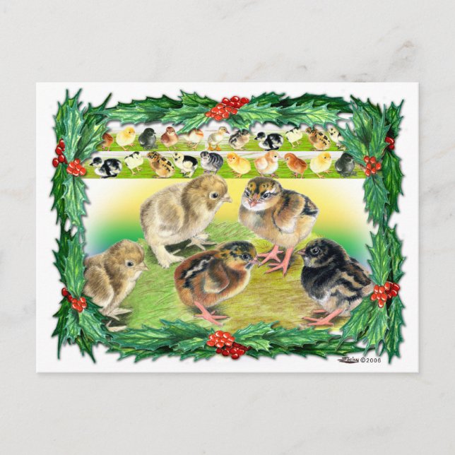 Christmas Chicks Holiday Postcard (Front)